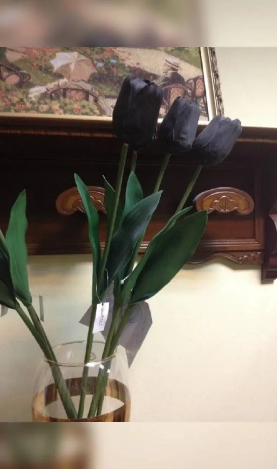 Тюльпан OAKOM - фото 1