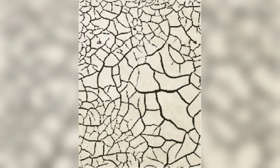 Ковер Sartori Cretto - фото 1