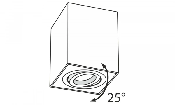 Потолочный Светильник Technical C017Cl-01S