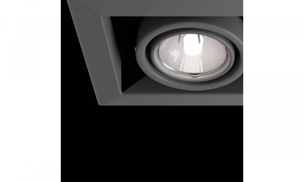 Встраиваемый Светильник Technical Dl008-2-02-S