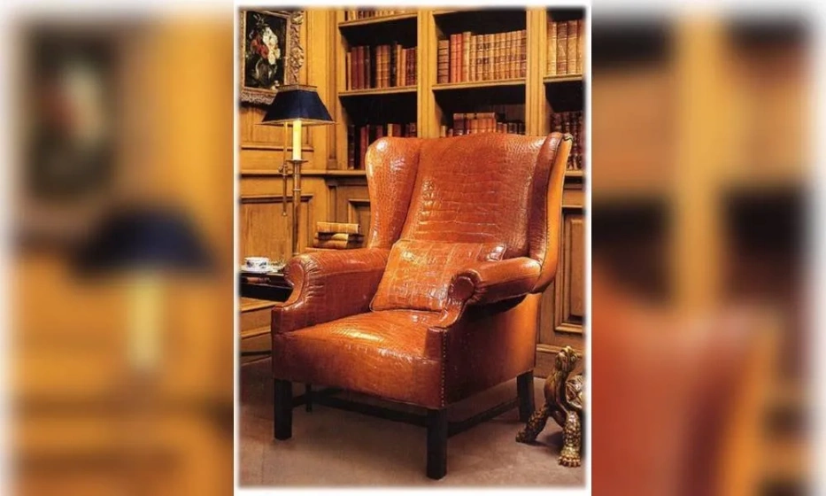 Кресло Provasi Crocodile - фото 1