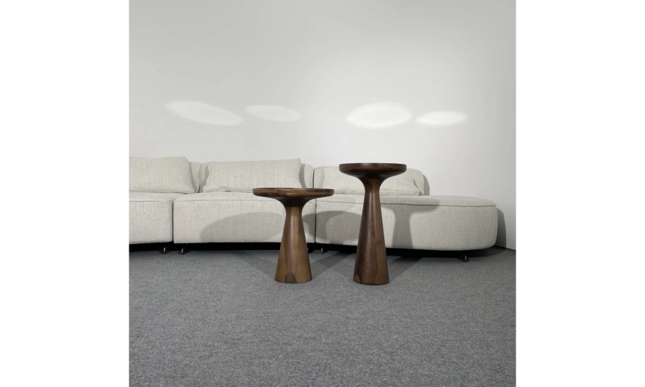 Кофейный столик низкий Homage Wood - фото 5