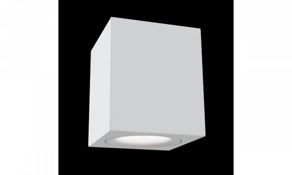 Потолочный Светильник Technical C013Cl-01W