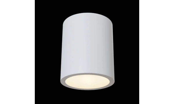 Потолочный Светильник Technical C001Cw-01W