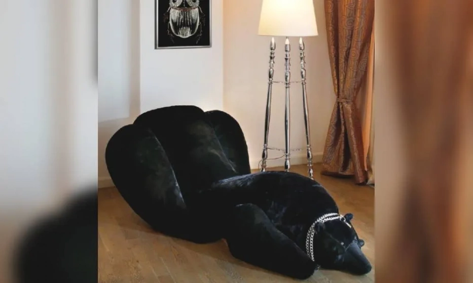 Кушетка Visionnaire Dubhe - фото 1