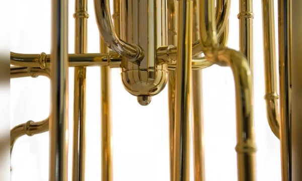 Люстра Delightfull Clark